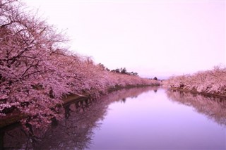 Japonia