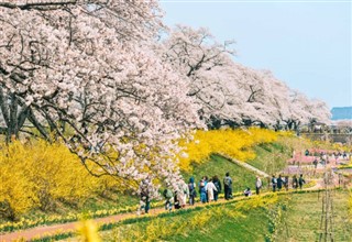 日本