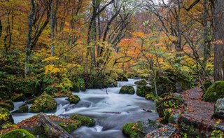 Japonia