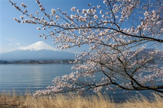 Japonia