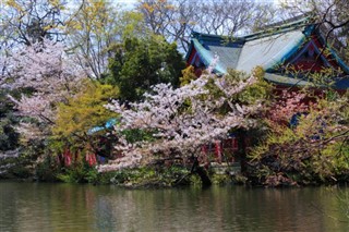 Japon