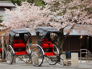 Japonia