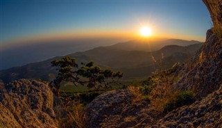 Џарвис