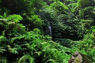 ジャーヴィス島