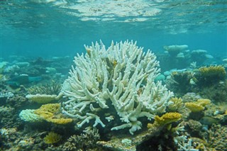 Johnston Atoll zaman dilimleri