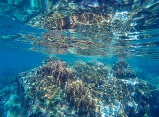 ジョンストン環礁