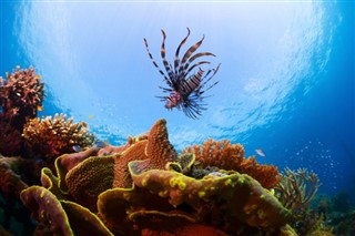 Kingman Reef time zones