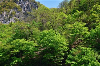 韓国、北朝鮮