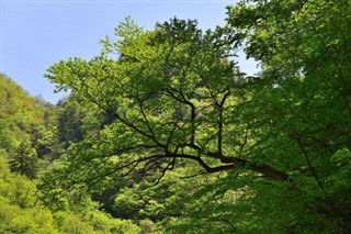 韓国、北朝鮮