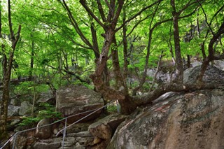 韩国，北方