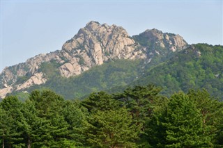 한국