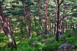 韓国、北朝鮮