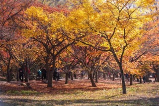 대한민국