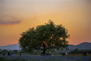 Južna Korea vremenske zone