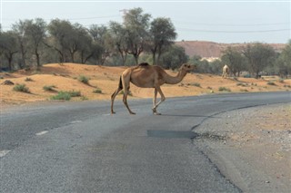 Кувейт