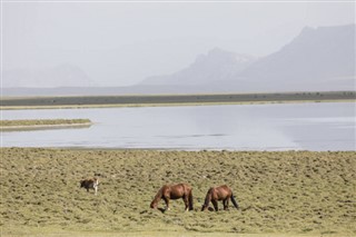 قرغيزستان