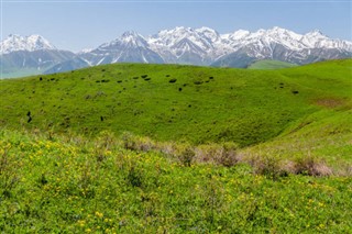 Kyrgyzstan