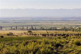 Kyrgyzstan