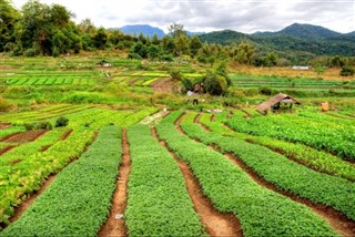 Laos