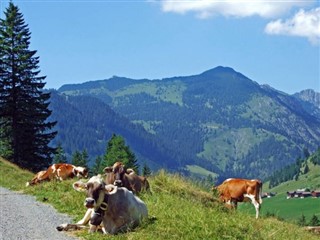 Lichtenštejnsko