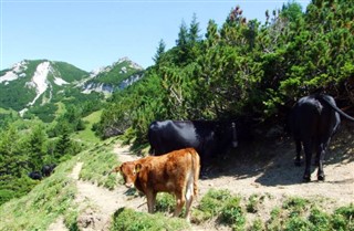 Liechtenstein vejrzoner
