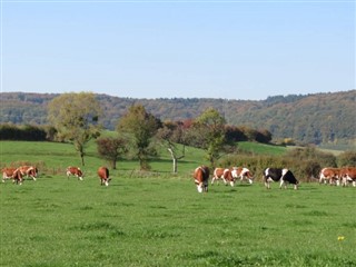 Luxembursko