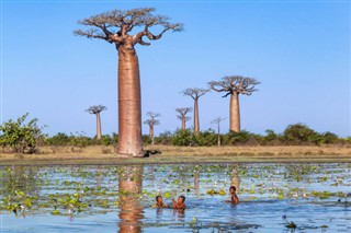 Madagaskara