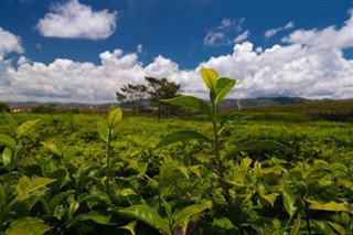 Madagáscar