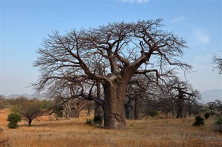 Malawi time zones