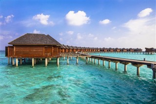 Maldive