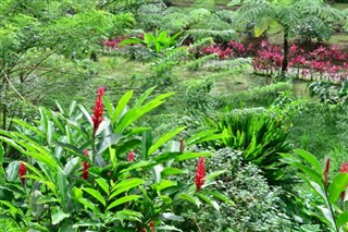 Martinique