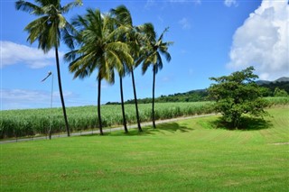 Martinique