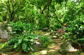 Martinique