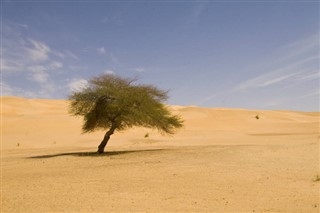 Mauritānija