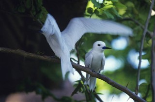 Mayotte