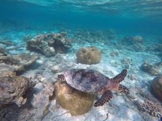 マヨット島