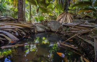 Mayotte vremenske zone