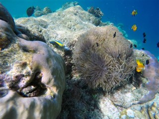 Mayotte