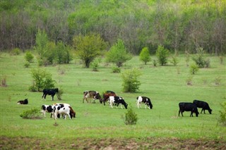 Moldavija vremenske zone