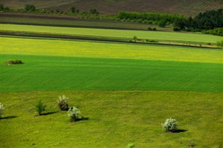 Moldavija