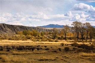 Mongolia