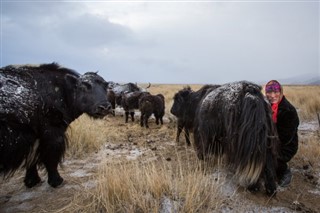 Mongolia