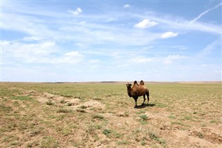 Mongolia