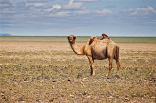 Mongolia