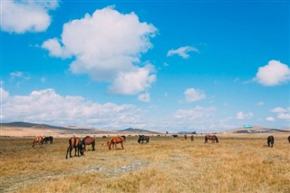 몽골리아