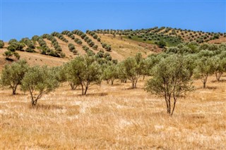 المغرب