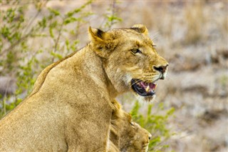 Mozambik vremenske zone