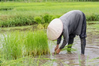 Myanmar