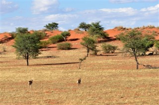 Namibie