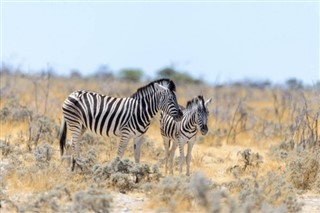 Namibia time zones